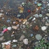 Plastiques et rejets industriels dans le Gange. (DR)