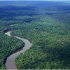 La forêts amazonienne, "poumon vert" de la planète, s'étend sur 7,3 millions de km2