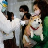 DR