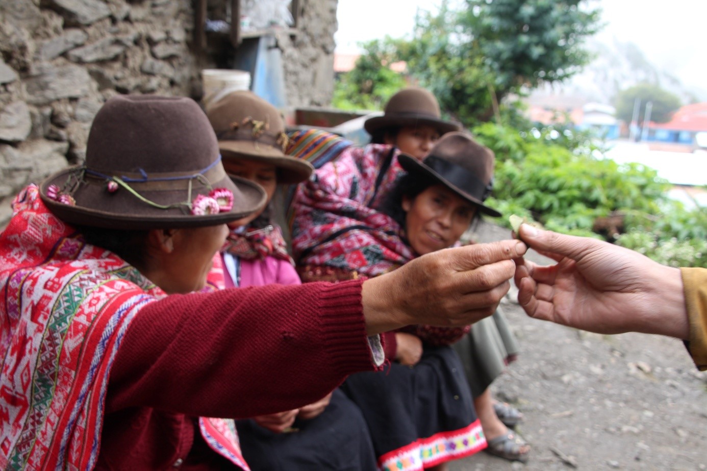 Communauté andine de Choquequancha, district de Lares, région de Cusco. Crédit photo : Victor Charruaud
