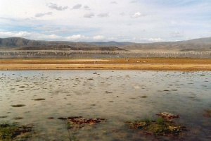 Le lac Poopó, en Bolivie. - Crédits : Olivier Hodac, Creative Commons 