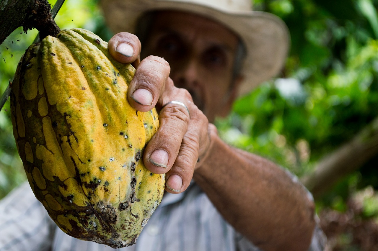 Paysan colombien - Crédit photo : Elias Falla 