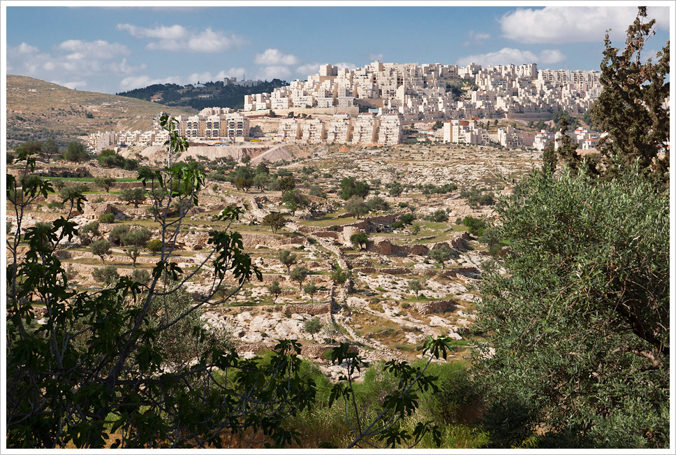 Implantation en Cisjordanie - Crédit photo : Flickr CC