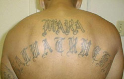  Tatouage d’un membre de la Mara Salvatrucha. Domaine public 