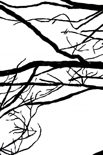 Branchages-UrsulaCaruel-2019- (3)