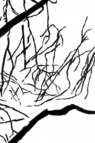 Branchages-UrsulaCaruel-2019- (8)