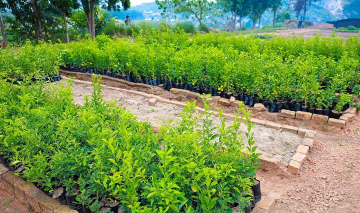 WhatsApp Image 2020-09-04 at 13.27.52 (1)