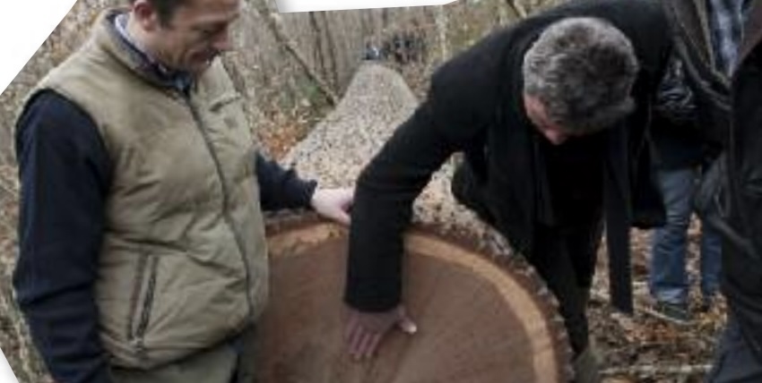 Il faut défendre la forêt française et nos forestiers. L’Opi’News de Michel Taube