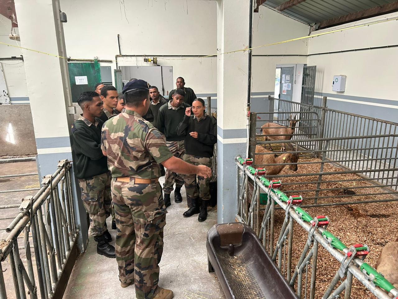 La Réunion : le RSMA relance sa filière agricole à Bourg-Murat
