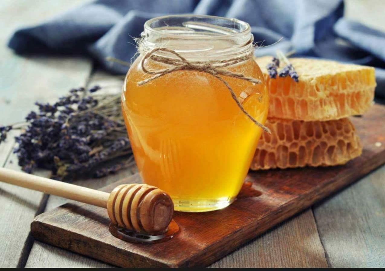 Miel rare et abeilles en veille : l’apiculture martiniquaise s’essouffle
