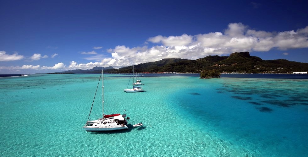 Polynésie : protéger l’océan en ralentissant, une campagne contre les collisions maritimes
