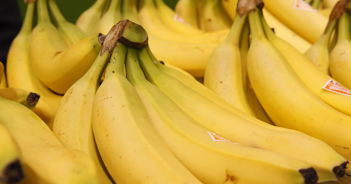 Guadeloupe - le préfet face aux inquiétudes des producteurs de bananes