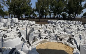 La Réunion, Étang-Salé - la guerre du sable blanc secoue la commune