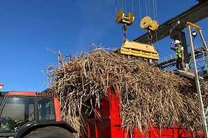 La Réunion - la campagne sucrière stoppée net à Bois-Rouge sur fond de grève
