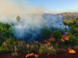 Mayotte étouffe sous les brûlis - 60 hectares partis en fumée en un mois