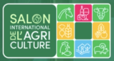 Et l'égérie du Salon international de l'agriculture 2026 sera... Biguine, cette belle Brahman de Martinique, élevée par André Prosper