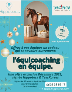 Tessa Schurink, fondatrice de TessXpress et HippoTess : « les saveurs de la Martinique enchantent vos déjeuners et fêtes de fin d’année ! »