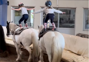 Laure Bousquet Académie de Firfol en Normandie - Il faut en France une filière scolaire - cheval pour que nous puissions continuer à transmettre aux jeunes la passion du cheval