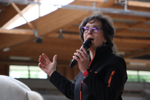 Laure Bousquet Académie de Firfol en Normandie - Il faut en France une filière scolaire - cheval pour que nous puissions continuer à transmettre aux jeunes la passion du cheval