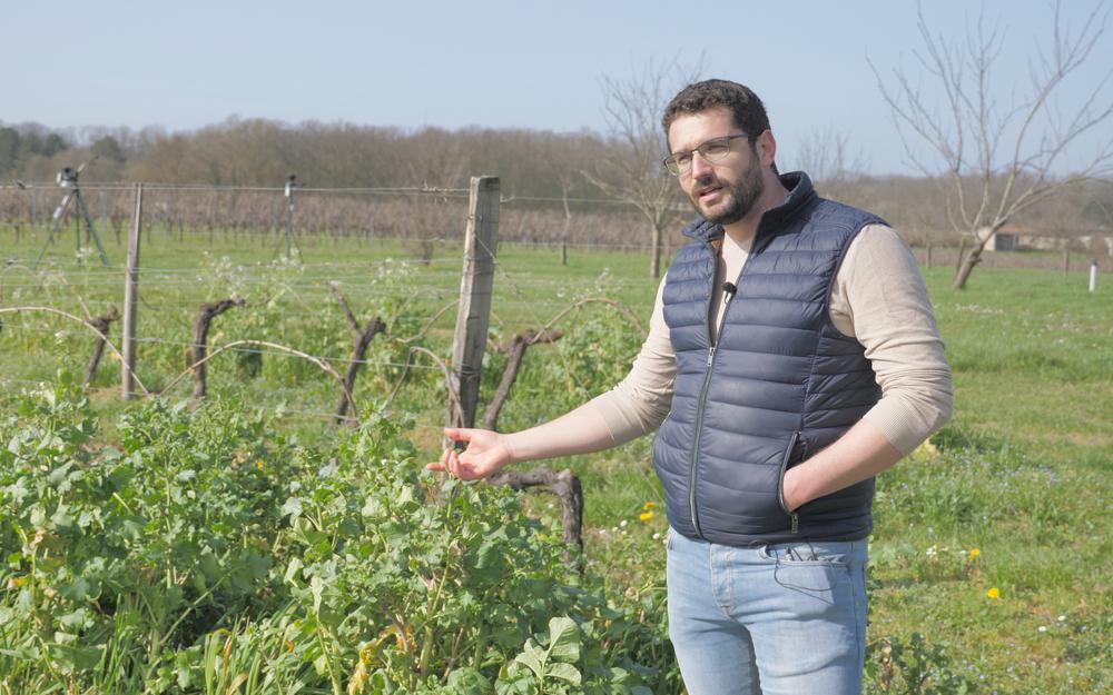Sébastien Roumegous (Biosphères) : "l'agriculture régénératrice est la seule réponse globale pour sauver notre souveraineté alimentaire de la crise géopolitique et du déficit commercial"