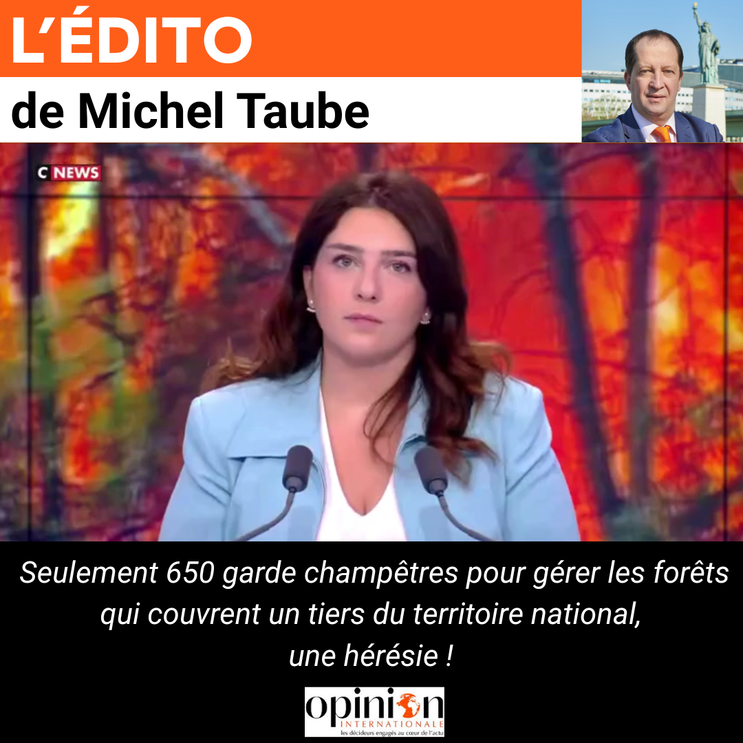 Seulement 650 garde champêtres pour gérer les forêts qui couvrent un tiers du territoire national, une hérésie !