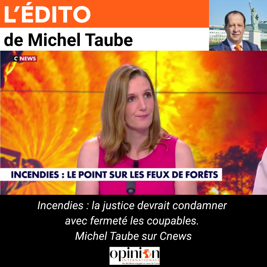 Incendies : la justice devrait condamner avec fermeté les coupables. Michel Taube sur Cnews